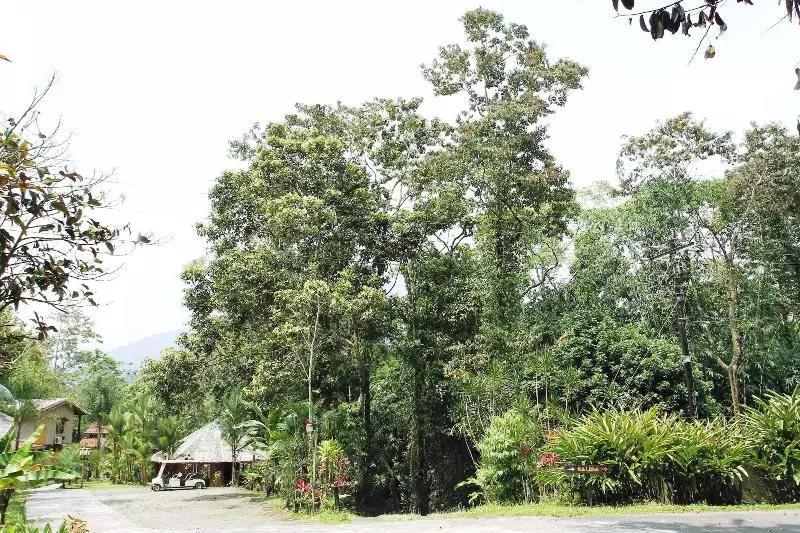 Fotos del hotel Kokoro Mineral Hot Springs:  21