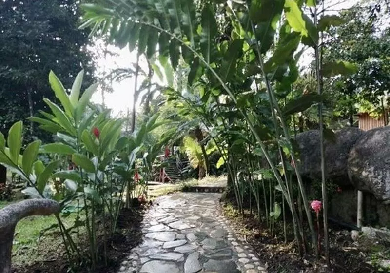 Fotos del hotel Kokoro Mineral Hot Springs:  23