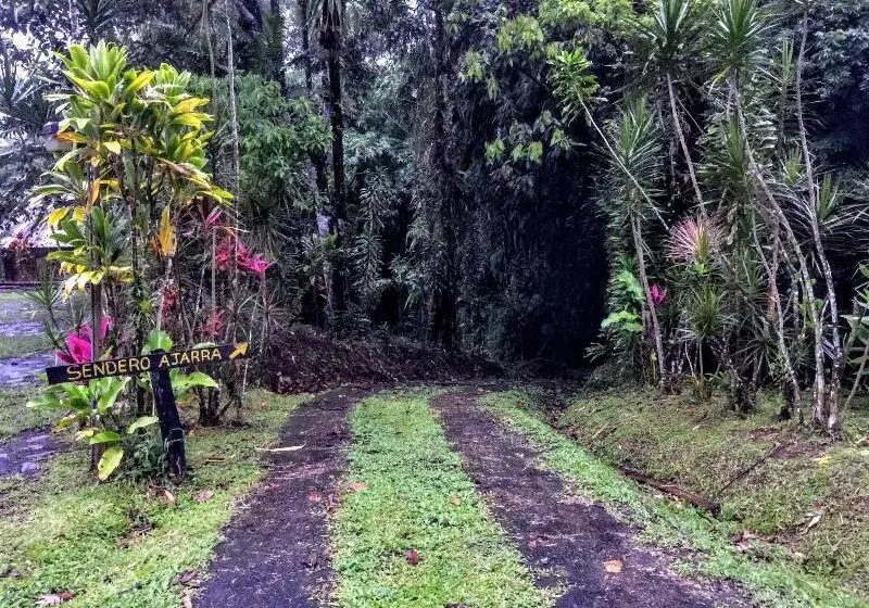Fotos del hotel Kokoro Mineral Hot Springs:  14