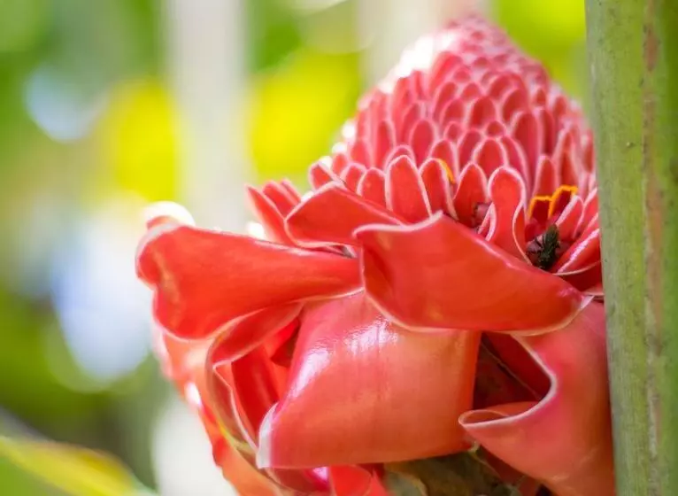 Fotos del hotel Kokoro Mineral Hot Springs:  4