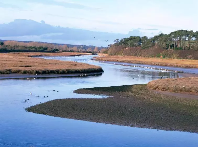 Fotos del hotel The Long Range:  22