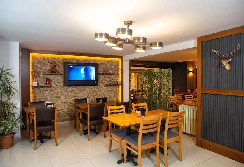 Fotos del hotel Zirve:  4