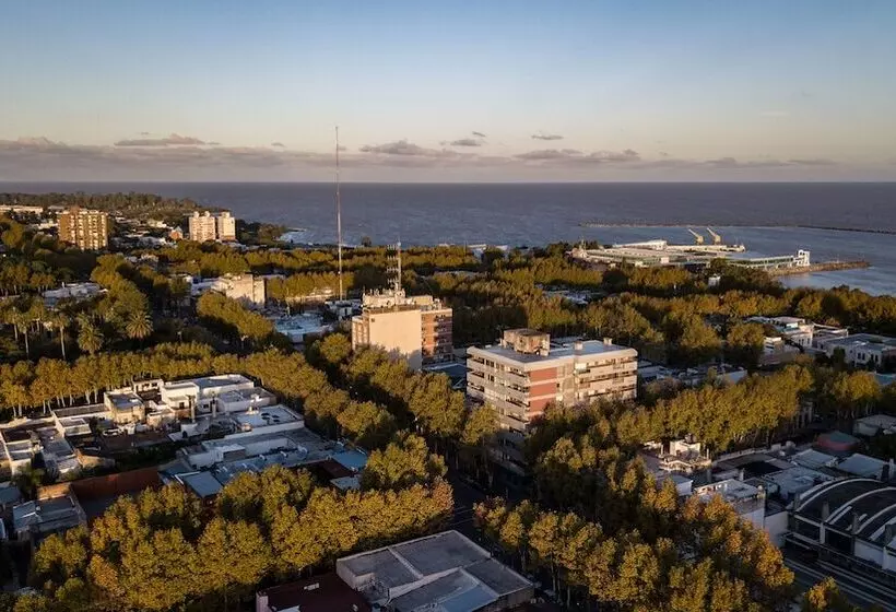 Fotos del hotel Royal:  14