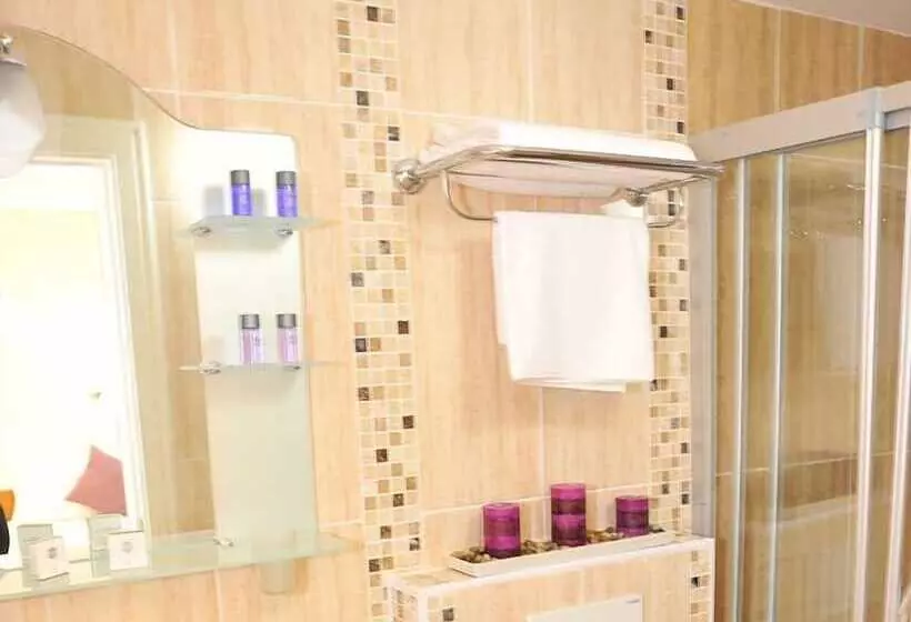 Fotos del hotel Dualis:  22