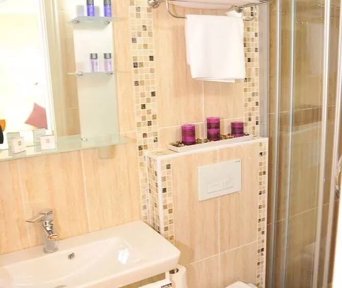 Fotos del hotel Dualis:  5