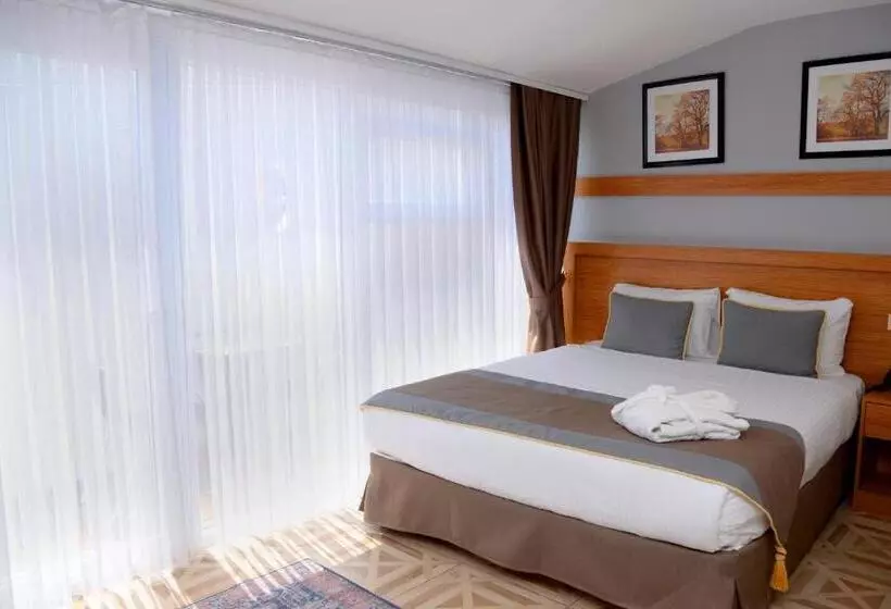 Fotos del hotel Edibe Sultan:  11