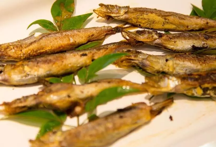 Fotos del hotel Kyoto Plaza:  11