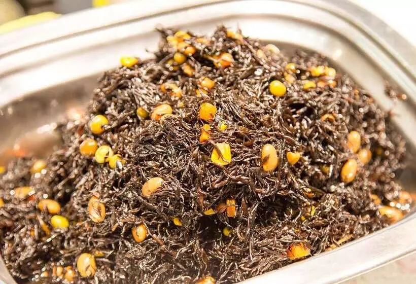 Fotos del hotel Kyoto Plaza:  25