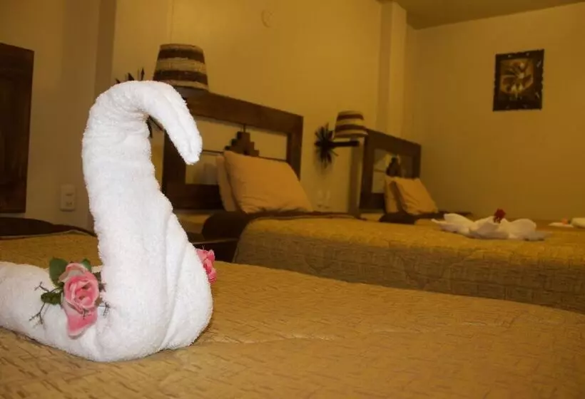 Fotos del hotel Marco Wasi:  21