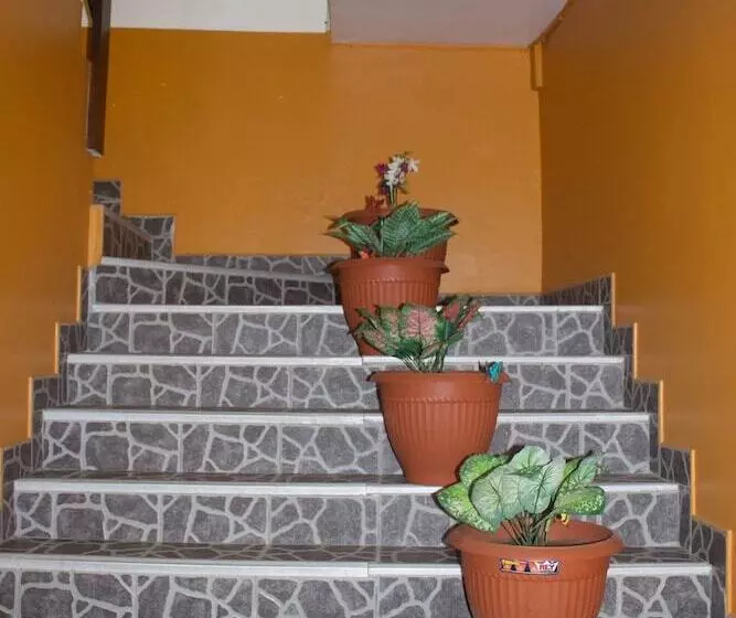 Fotos del hotel Marco Wasi:  5