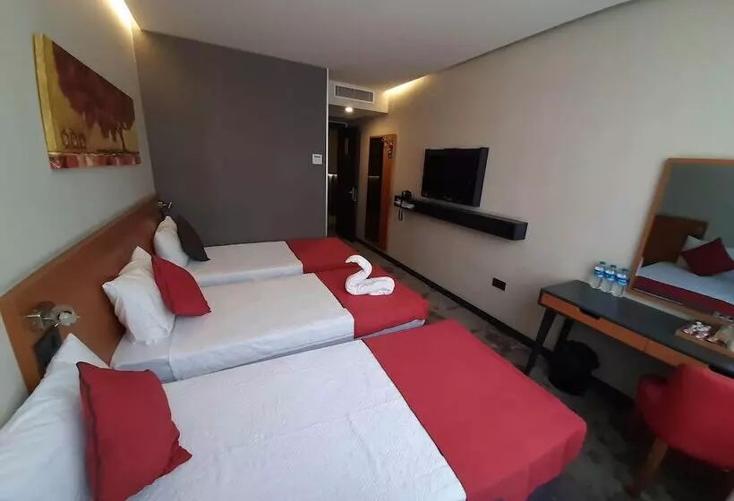 Fotos del hotel Sapko Airport:  21