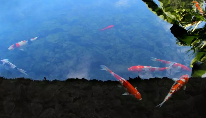 Fotos del hotel The Kirana Canggu:  20