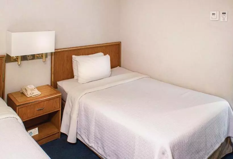 Fotos del hotel Travohotel Monterrey Histórico:  15