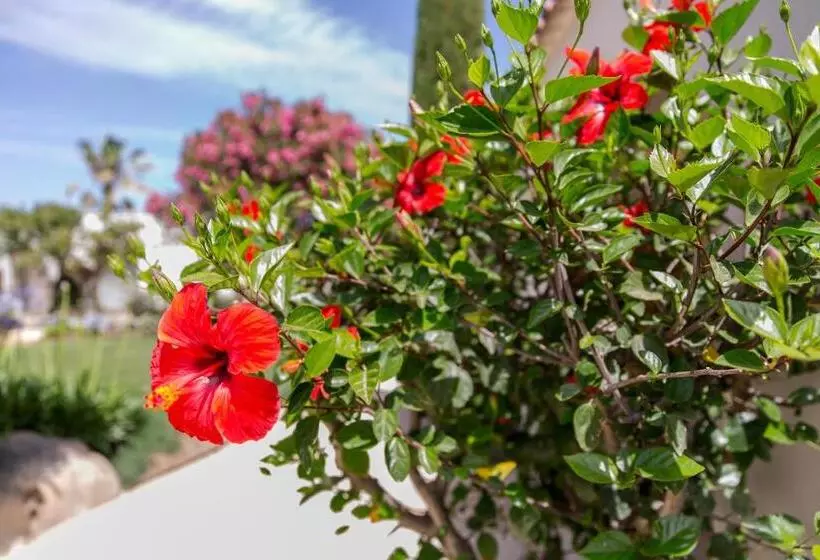 Fotos del hotel Hôtel La Caravelle:  11