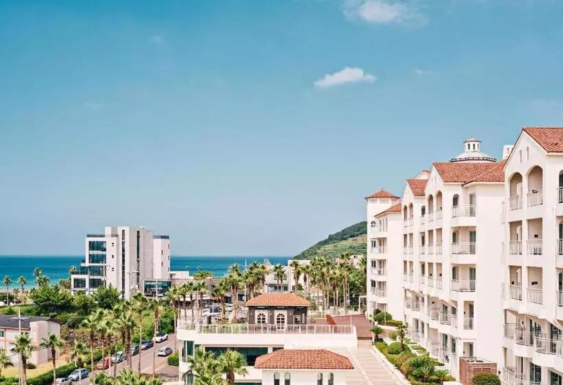 Fotos del hotel Sono Belle Jeju:  17