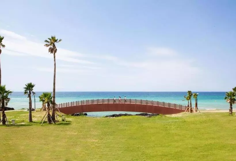 Fotos del hotel Sono Belle Jeju:  19