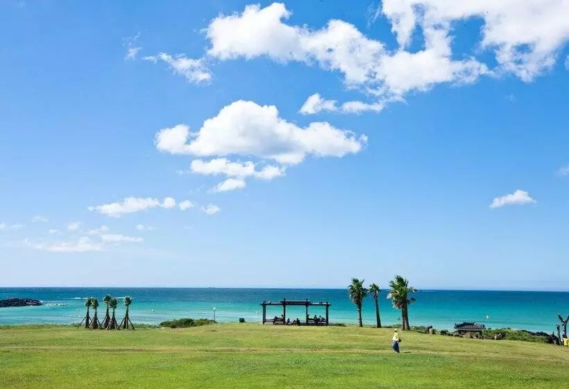 Fotos del hotel Sono Belle Jeju:  18