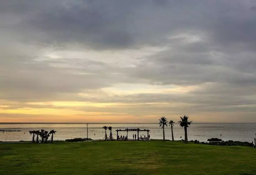 Fotos del hotel Sono Belle Jeju:  16