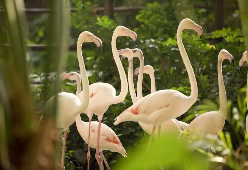 Fotos del hotel Tropical Islands:  12