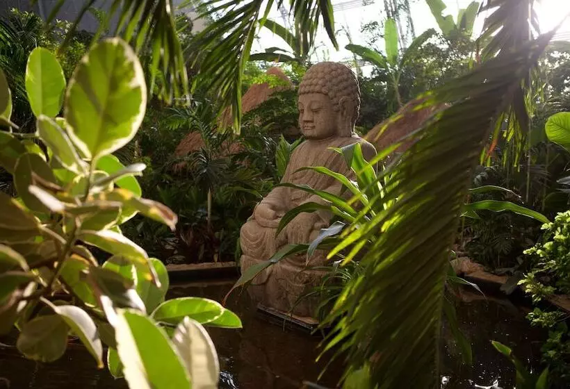 Fotos del hotel Tropical Islands:  15