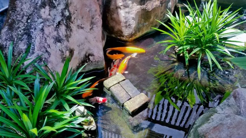 Fotos del hotel Ben's House:  16