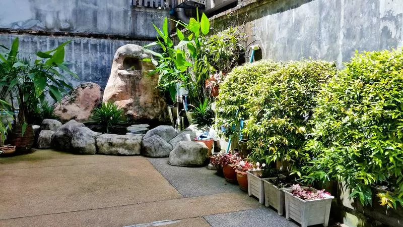 Fotos del hotel Ben's House:  20