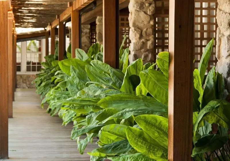 Fotos del hotel Pousada Literária De Paraty:  17