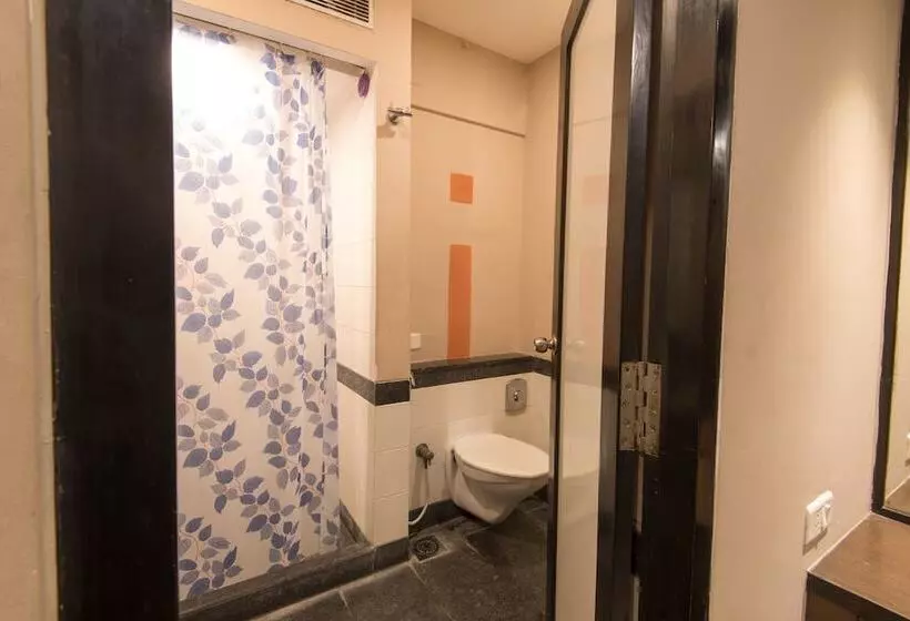 Fotos del hotel Fabhotel Santhome Inn:  11