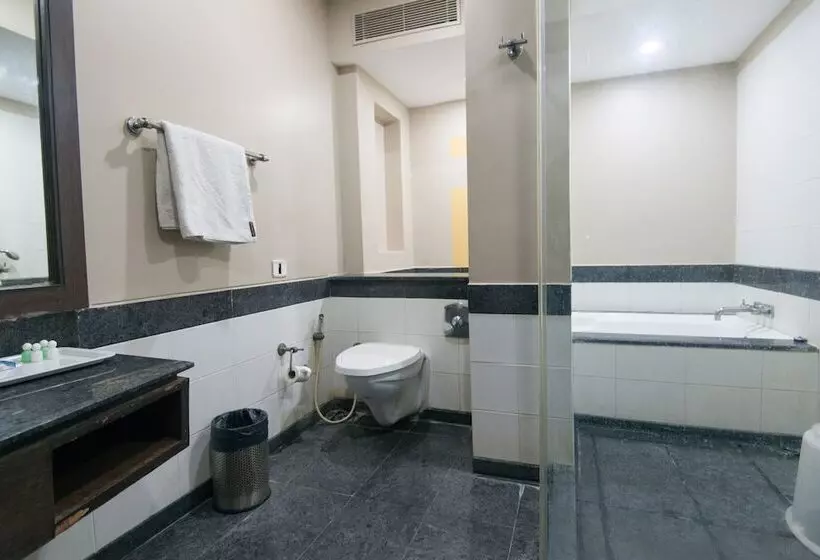 Fotos del hotel Fabhotel Santhome Inn:  13