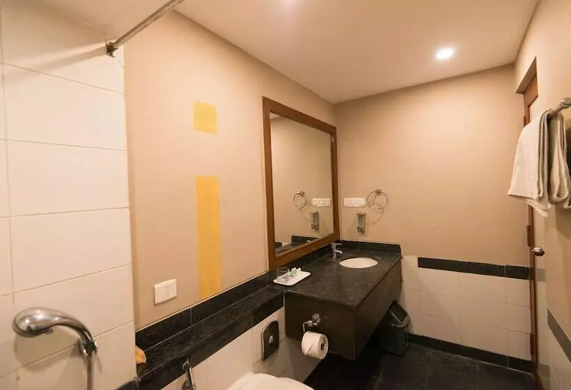 Fotos del hotel Fabhotel Santhome Inn:  15