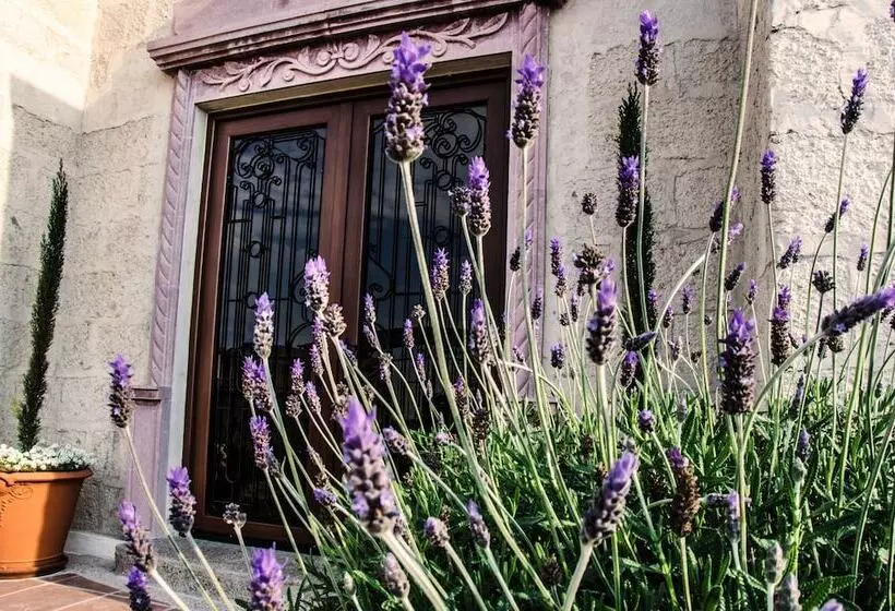 Fotos del hotel Black Club Sma:  7