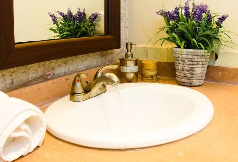 Fotos del hotel Black Club Sma:  11