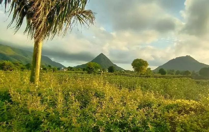 Fotos del hotel The Country Side Resorts:  6