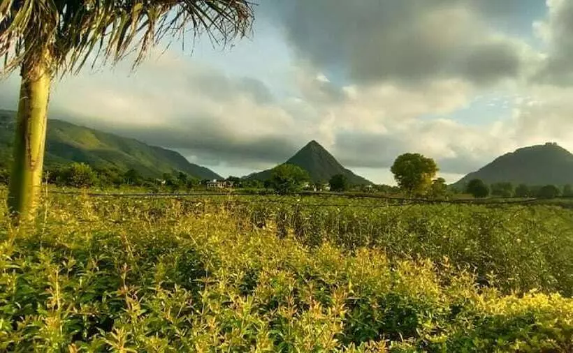 Fotos del hotel The Country Side Resorts:  10