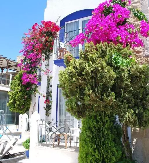 Fotos del hotel Serpina:  13