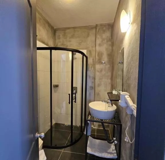 Fotos del hotel Serpina:  6