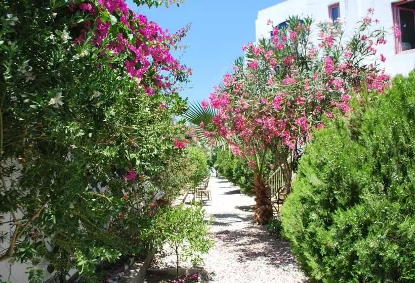 Fotos del hotel Serpina:  21