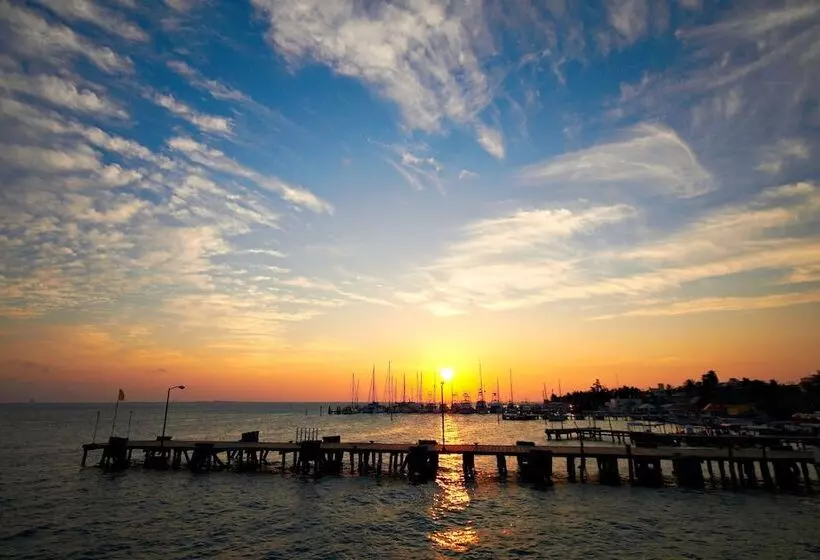 Fotos del hotel Belmar:  16