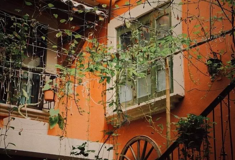 Fotos del hotel Belmar:  20