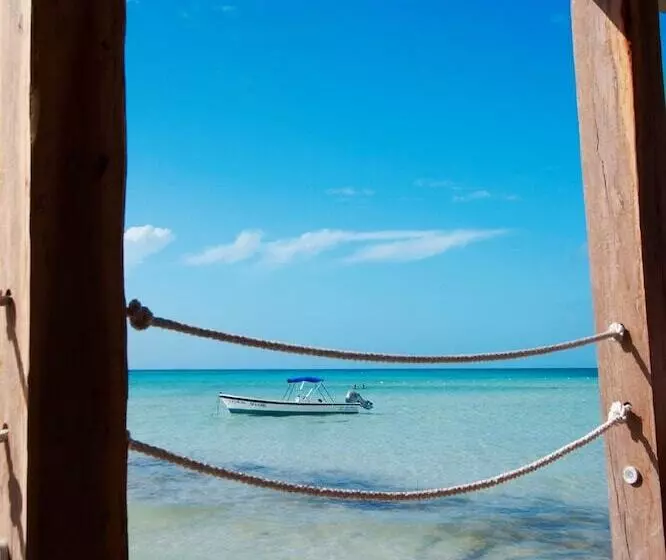 Fotos del hotel Belmar:  6