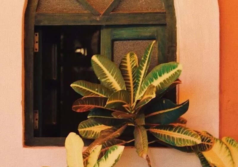 Fotos del hotel Belmar:  5