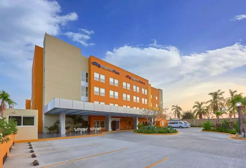 Fotos del hotel City Express Plus Cabo San Lucas:  12