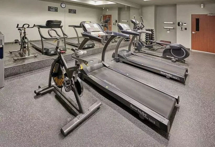 Fotos del hotel City Express Plus Cabo San Lucas:  14