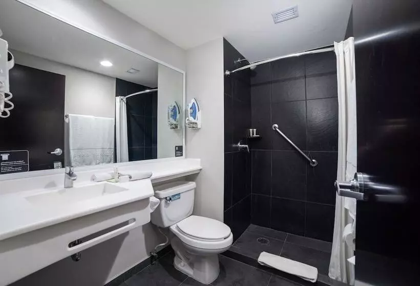 Fotos del hotel City Express Plus Cabo San Lucas:  17