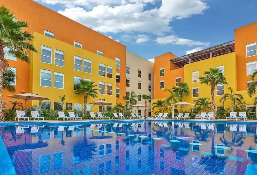 Fotos del hotel City Express Plus Cabo San Lucas:  2