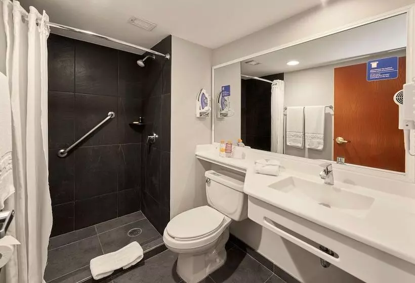 Fotos del hotel City Express Plus Cabo San Lucas:  10