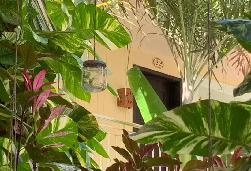 Fotos del hotel Santa Ana:  14