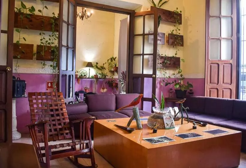 Fotos del hotel Santa Ana:  20