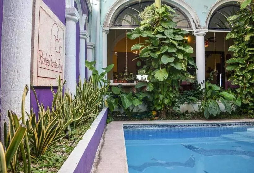 Fotos del hotel Santa Ana:  16