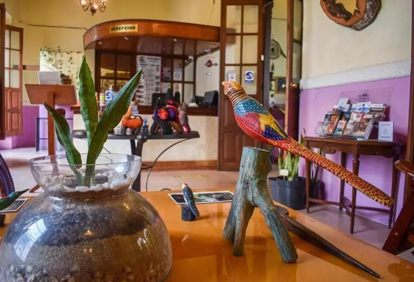 Fotos del hotel Santa Ana:  13